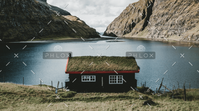 demo-attachment-1605-media